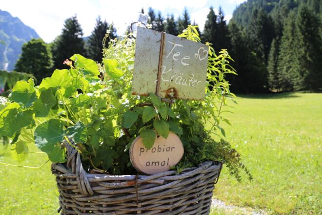 Kräuterweg "Probiar Amol" - Haus Surava