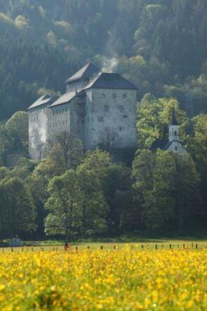 Burg_Sommer