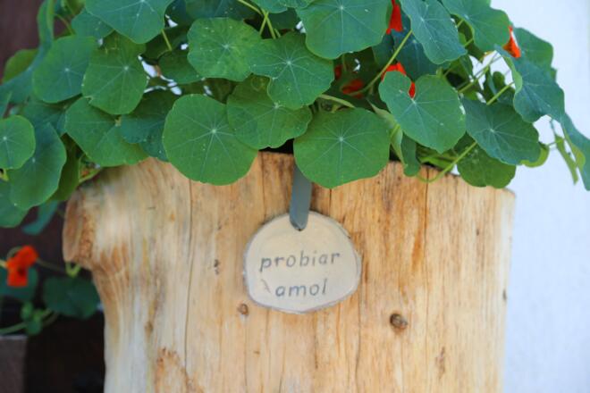 Kräuterweg "Probiar Amol" - Montafoner Schnitzstube