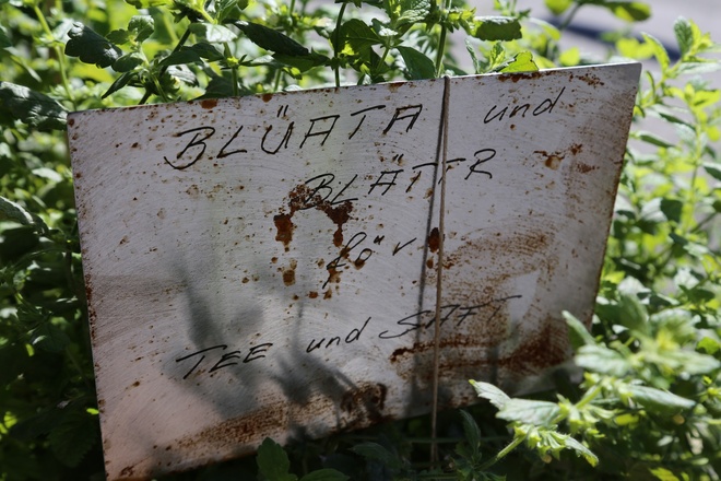 Kräuterweg "Probiar Amol" - Apart Alte Post