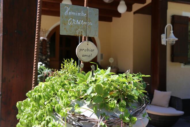 Kräuterweg &quot;Probiar Amol&quot; - Pension Tirolerhof