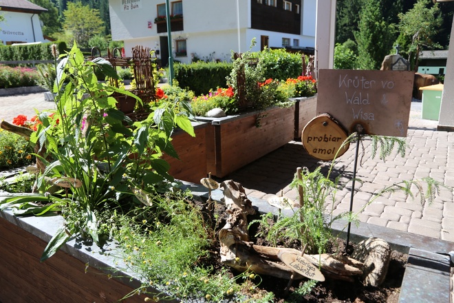 Kräuterweg "Probiar Amol" - Elfi Ganahl