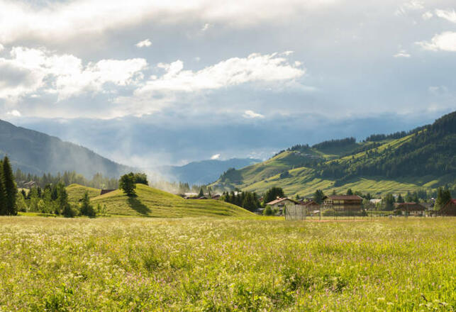 Hotel ***Drei Tannen