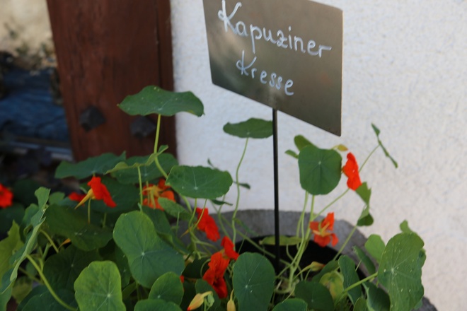 Kräuterweg "Probiar Amol" - Montafoner Schnitzstube