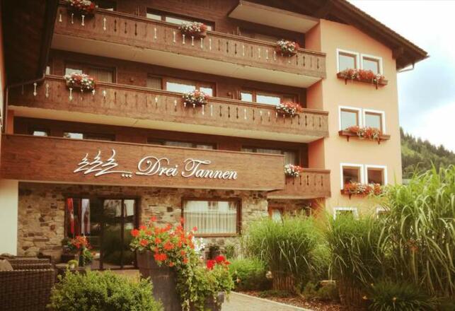 Hotel ***Drei Tannen