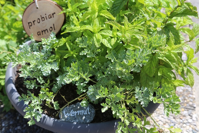 Kräuterweg "Probiar Amol" - Gerhard Blaas