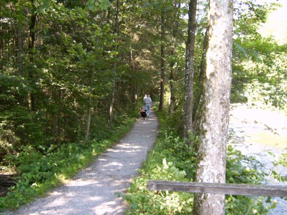 Wanderweg am Auerbach