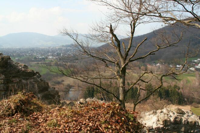 Blick auf Ried, Koblach und Montlingen