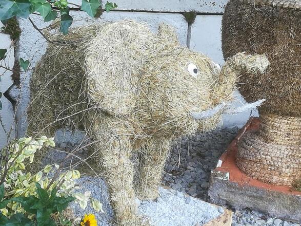 Auch beim Ausflug auf den "Babyelefanten" achten