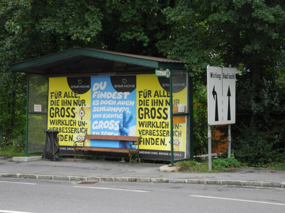 Haltestelle "B158 Abzw. Nussensee" (Richtung Bad Ischl)