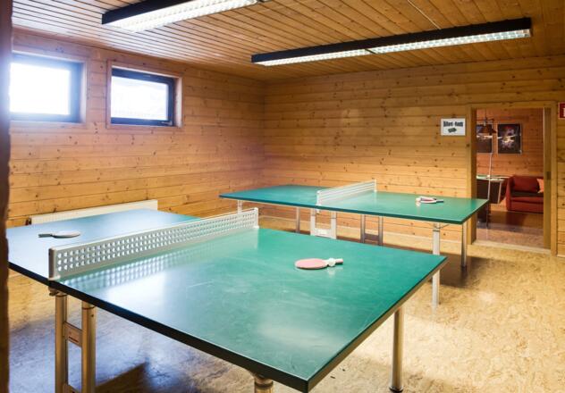 Haus Gufl, Tischtennisraum
