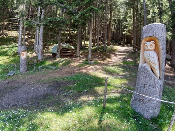 Haus Gufl, Holzkunst, Waldweg