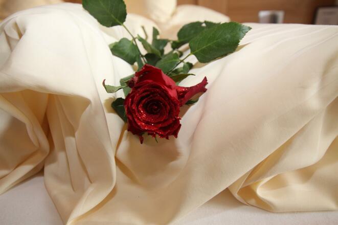 Willkommen im Haus Rosi