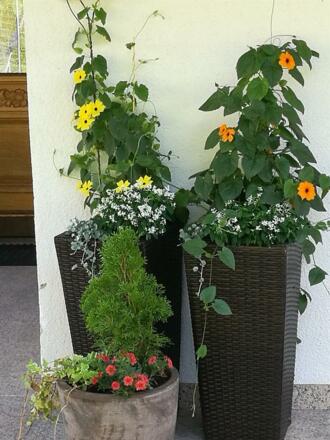 Garten I