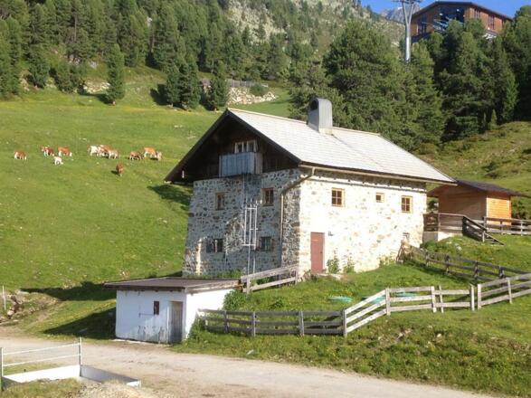 Kühtaile Alm Sommer