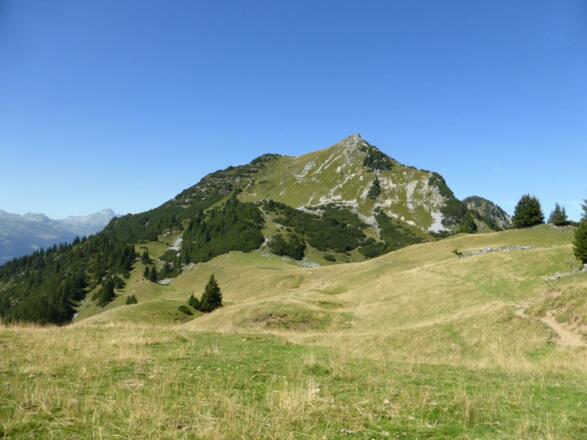 Obere Wiese