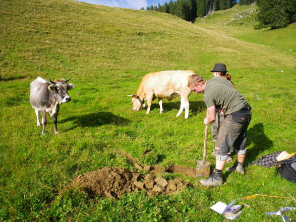 Feldarbeit der Archäologen und Bodenkundler
