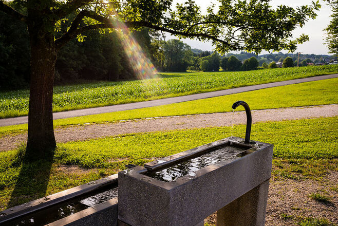 Armkneippbecken an der Kneippanlage
