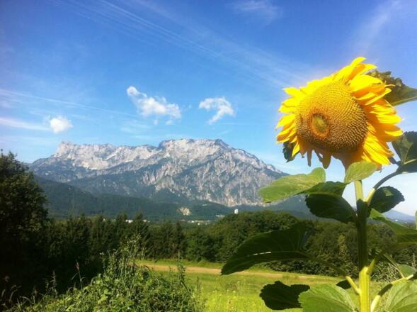 Sommer