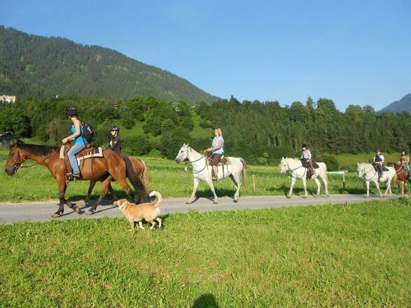 Reitausflug