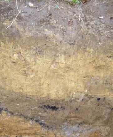 Alter Boden mit Holzkohlebändern