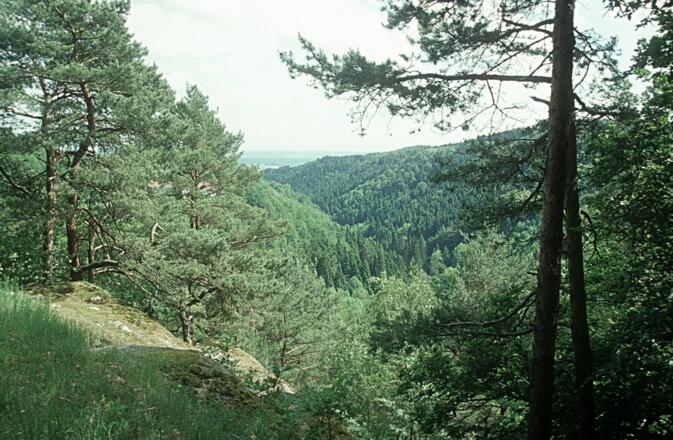 Pesenbachtal_Blick-%c3%bcber-das-Pesenbachtal_c-Limberger-Josef_web