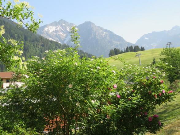 Blick in die Bergwelt