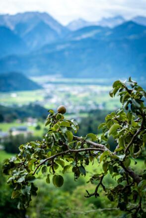 Frühling im Walsertal