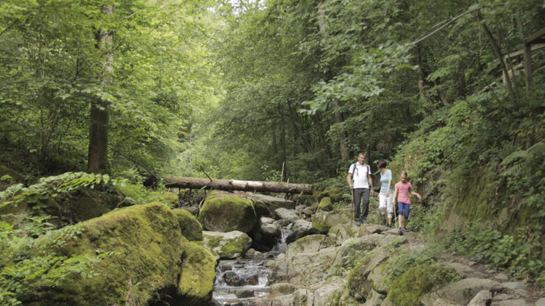 Pesenbachtal_Oberoesterreich-Tourismus-GmbH_Martin-Fickert (7)_web