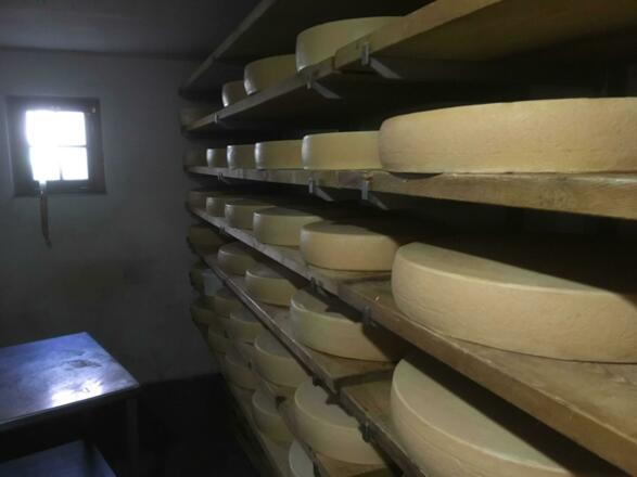 Einheimischer Käse