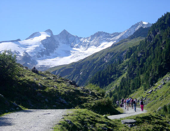 Toller Ausblick zum Talschluß mit Gabler und Reichenspitze im Hintergrund