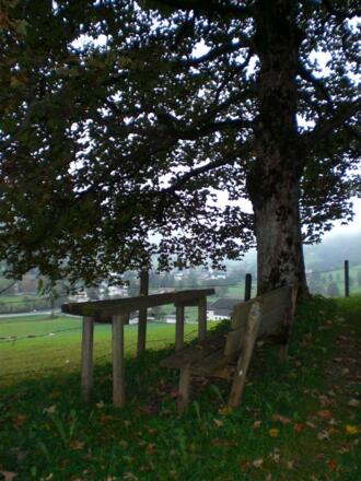 Gemütlicher Rastplatz