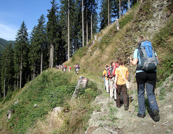 Der Weg durch das Mühlbachtal