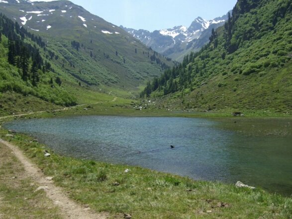 Urgsee