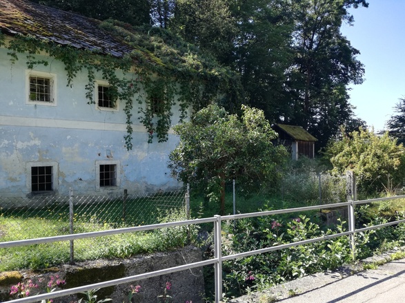 Oberhalb stand die Burg Freudenstein