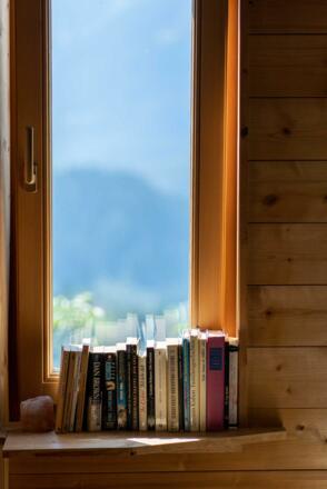 Bücher vor Kulisse