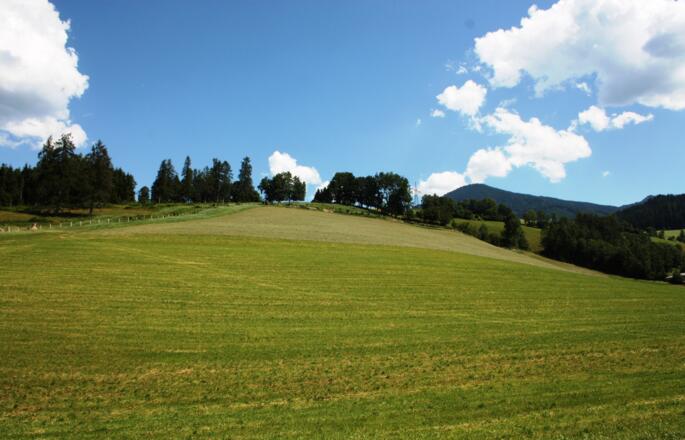 Rundhöcker Lehen