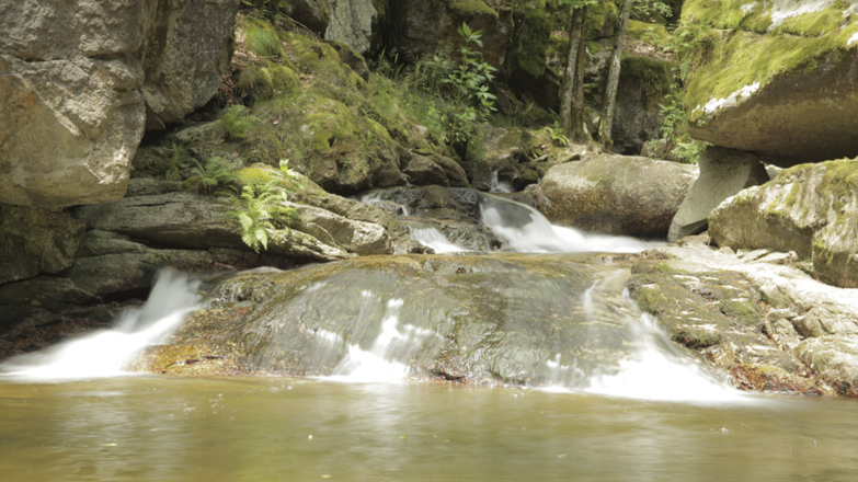 Pesenbachtal_Oberoesterreich-Tourismus-GmbH_Martin-Fickert (1)_web