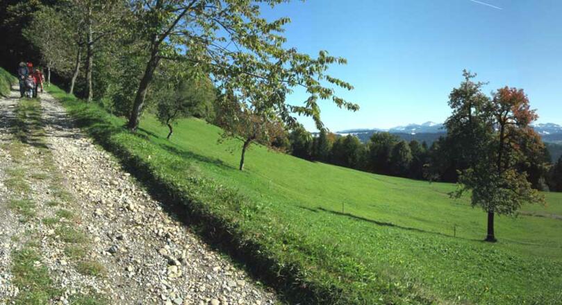 Wander- und Wirtschaftsweg