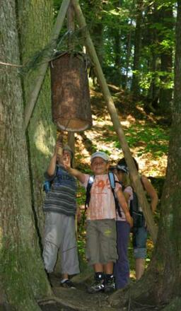 Walderlebnispfad Möggers