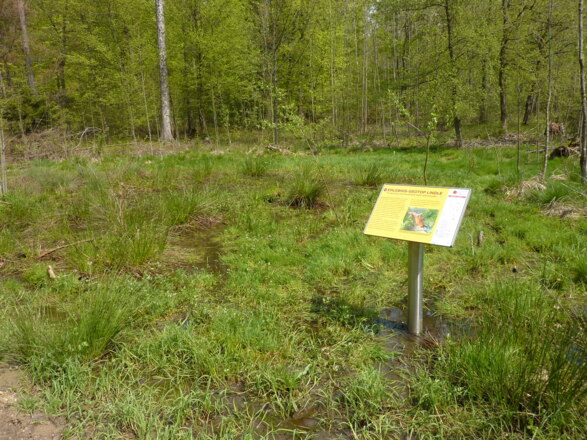 Biotop auf dem Gelände des Lehrpfads
