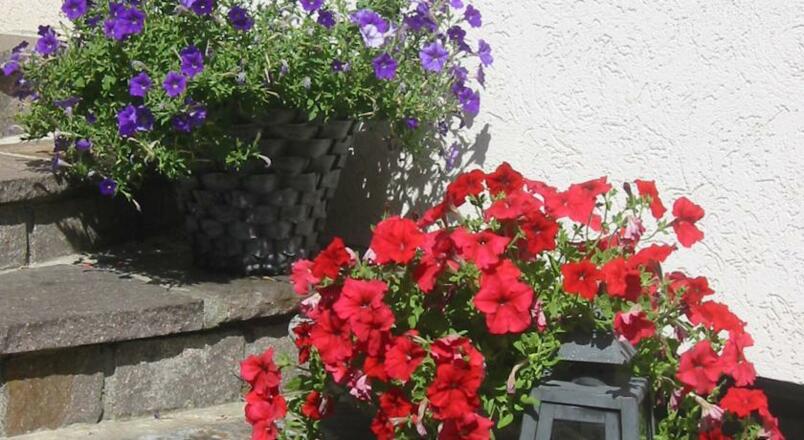 Sommer im Berghaus drei Tannen