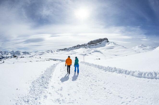 Winterwandern Ifen Gottesacker Rundweg _Dominik Be