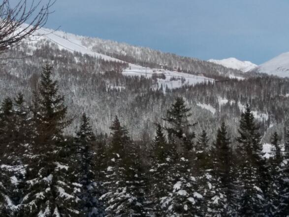 Am nordöstlichen Fuß liegen Branntweiner- und Kösselbacheralm.