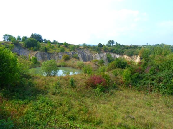 Blick auf ein Biotop und den angrenzenden Steinbruch Siegling