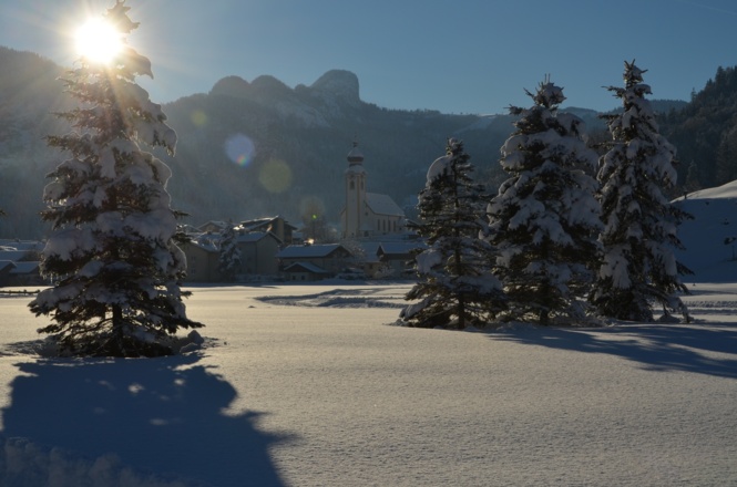 Unken im Winter