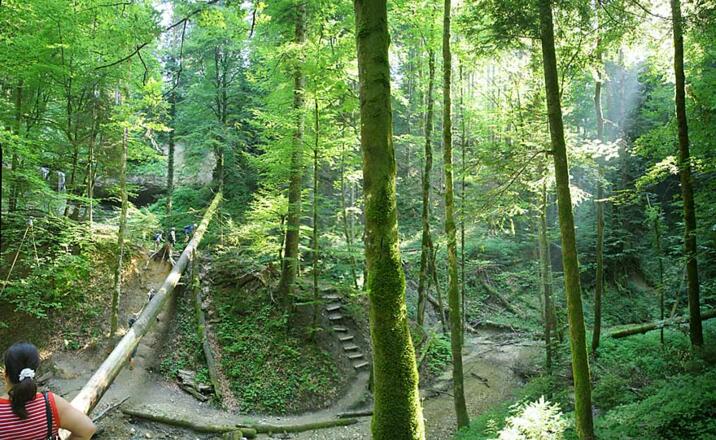 Walderlebnispfad Möggers