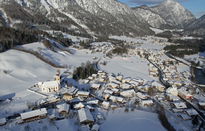 Unken im Winter