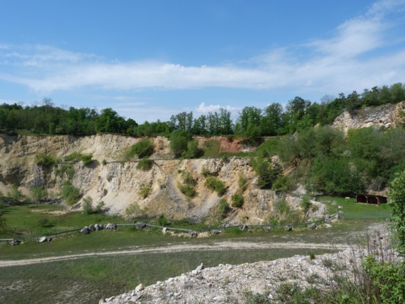 Aufschlusswand Geotop Lindle