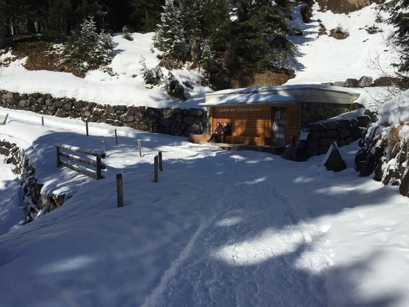 Quelle am "Chalta Bächle"